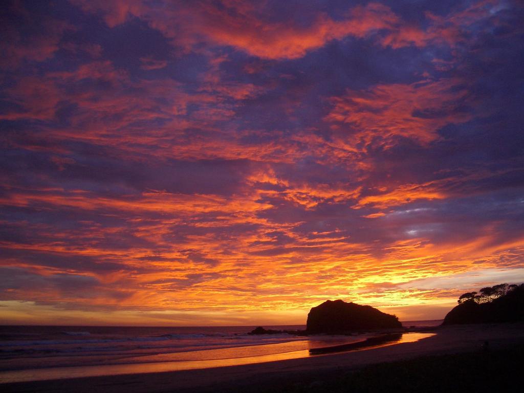 Playa Grande Surf Camp Hostel Exterior foto